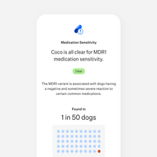 Load image into Gallery viewer, Wisdom Panel™ Breed Discovery