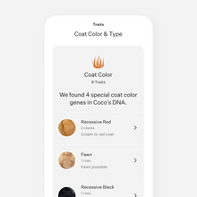 Load image into Gallery viewer, Wisdom Panel™ Premium