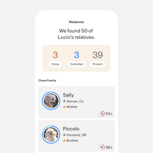 Load image into Gallery viewer, Wisdom Panel™ Breed Discovery