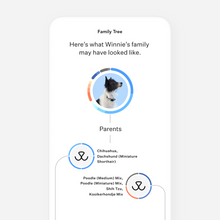 Load image into Gallery viewer, Wisdom Panel™ Breed Discovery