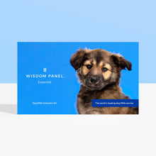 Load image into Gallery viewer, Wisdom Panel Essential DNA test for dogs collection kit