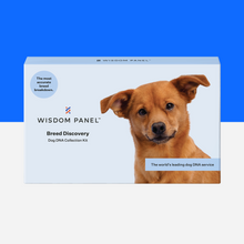 Load image into Gallery viewer, Wisdom Panel™ Breed Discovery