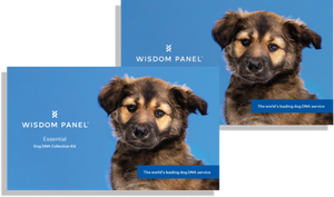 Wisdom Panel™ Essential Bundle